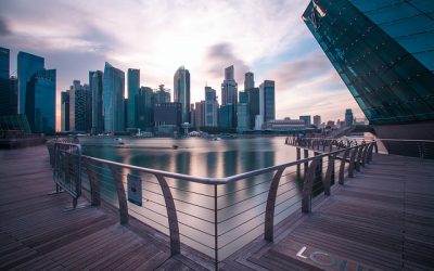 Market report March 2019
