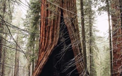 Raport Rynkowy: Maj 2019