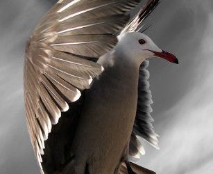 Taryfy Handlowe, czyli jaki ma wpływ niepewność handlowa i wprowadzone cła na globalny cykl inwestycyjny i rynki światowe