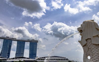 Raport rynkowy Lipiec-Sierpień 2019