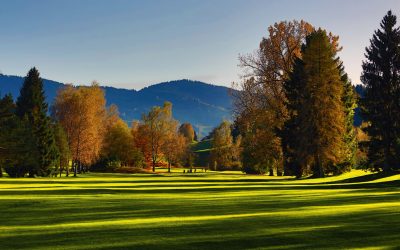 Raport rynkowy Wrzesień 2019