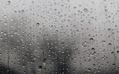 Raport rynkowy Październik 2019