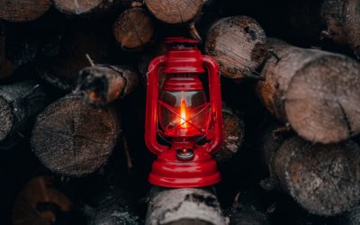 Czy na rynkach equity mamy do czynienia z rynkami Pawłowa?