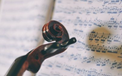 Raport rynkowy Wrzesień 2020