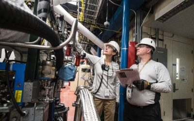 Poszukiwania jakości w akcjach